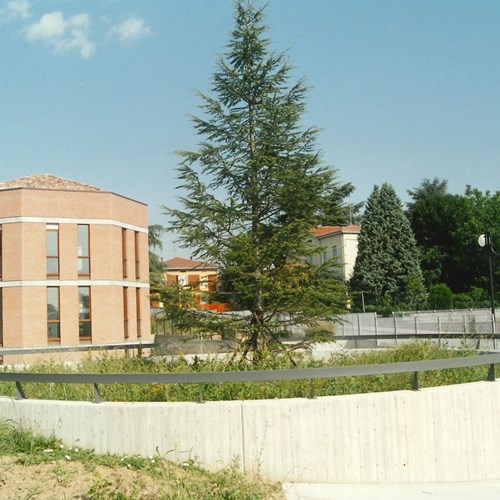 Realizzazione fabbricato polifunzionale in Noceto